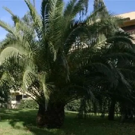 Calme Avec Terrasse Et Parking Au Lavandou - 3 Couchages - Fr-1-251-31 Le Lavandou