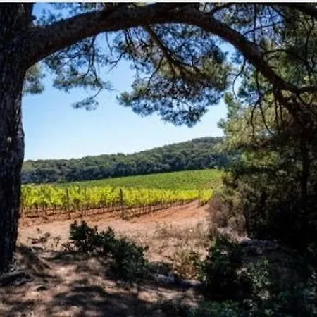 Calme Avec Terrasse Et Parking Au Lavandou - 3 Couchages - Fr-1-251-31 *